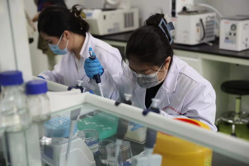 從經驗熬制到精準智造 黑龍江中醫藥大學攜手網絡技術咨詢服務開啟智慧轉型