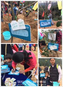 碧桂園植樹節 佩悅傳媒以專業公關策劃，賦能綠色品牌行動