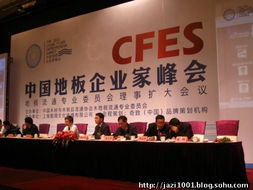 奇致品牌全程策劃，2011中國地板企業家峰會盛典圓滿落幕