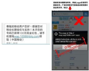 《Q2移動安全報告深度解讀 支付安全問題高居榜首，網絡安全軟件開發迎來新挑戰與機遇》